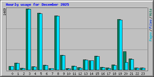 Hourly usage for December 2025